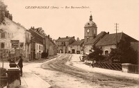Jura (39) - CHAMPAGNOLE - Rue Baronne-Delort -  Lavandière